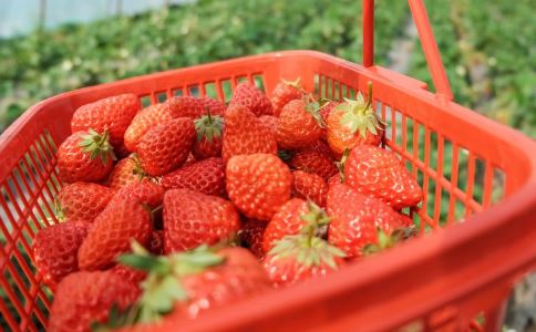 【甘蔗能补血吗】甘蔗功效 甘蔗是补血之王你知道吗