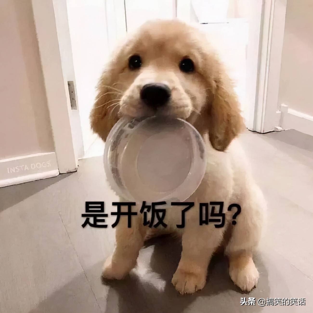 爆笑经典做梦冷笑话 超级经典冷笑话