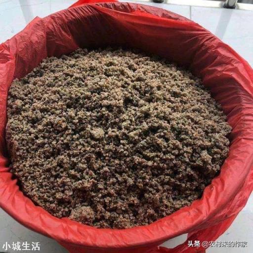 用细沙养花可以吗?