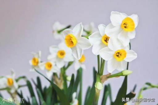 为什么外国的app都用电子邮件注册，而中国都要手机号来注册？