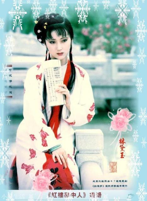 黛玉进府和宝钗进府的区别是什么？