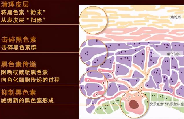 北京京医中医院在什么地方 北京京医中医医院几级医院