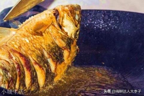 如何熬鱼汤会变乳白色？