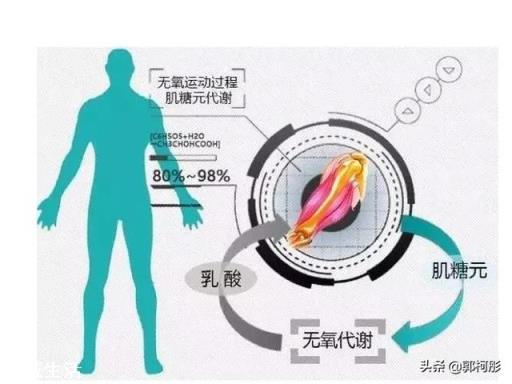 女生减肥,做力量训练和不做力量训练的差别在哪儿?