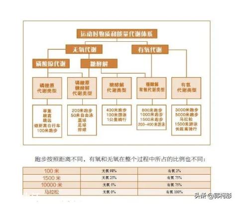 女生减肥,做力量训练和不做力量训练的差别在哪儿?