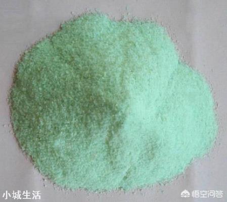 刚养的绣球花有的叶子发黄是怎么回事?