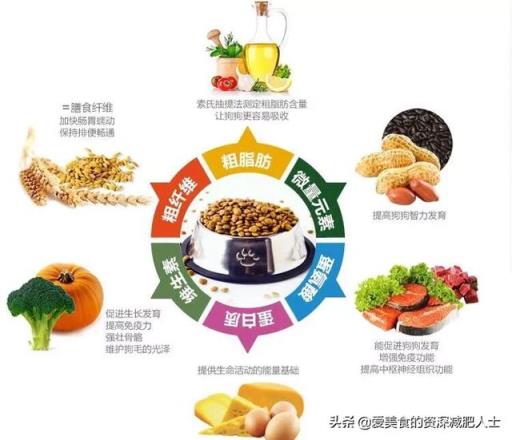 真的太想减肥啦！我该怎么办？