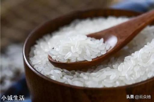 大米生虫了，爬的满宿舍都是，我该怎么办？