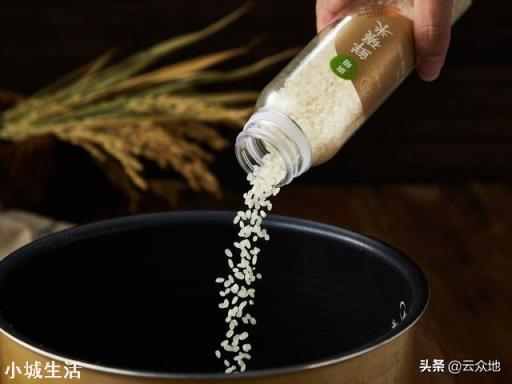 大米生虫了，爬的满宿舍都是，我该怎么办？