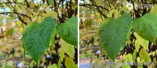 Mate40Pro+与iPhone12ProMax该如何选择?