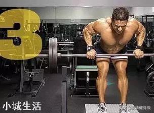 深蹲、仰卧起坐、俯卧撑、卷腹、分别可以锻炼哪些部位的肌肉?这些是不是健身经典动作?