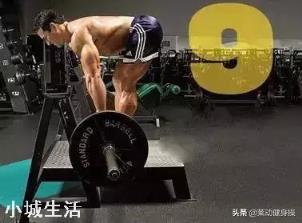 深蹲、仰卧起坐、俯卧撑、卷腹、分别可以锻炼哪些部位的肌肉?这些是不是健身经典动作?