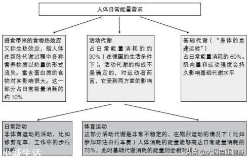 为什么锻炼三年没有什么腹肌?