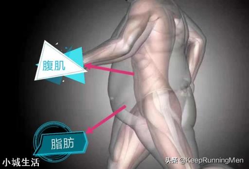 为什么锻炼三年没有什么腹肌?