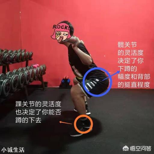 身体柔韧性不行，做不了标准的深蹲硬拉，该怎么做拉伸，提高柔韧性？