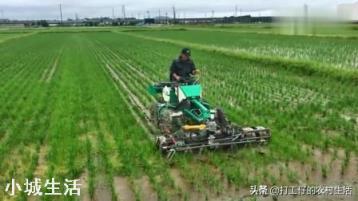 科技进步让农民有什么改变呢？