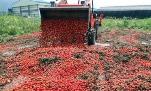 马来西亚平均每人浪费的食物为100公斤左右 食物浪费率最高的亚洲国家