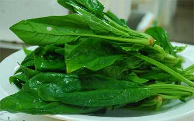 菠菜和豆腐一起吃好不好