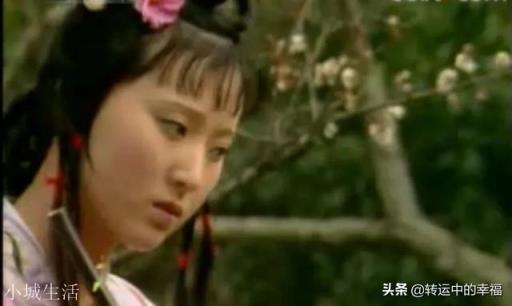 林黛玉和薛宝钗你更喜欢谁?