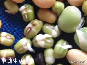 发芽慢的种子，在播种之前对种子浸种，浸种的时间与什么有关？