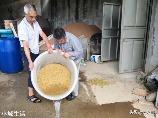 发芽慢的种子，在播种之前对种子浸种，浸种的时间与什么有关？