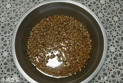 发芽慢的种子，在播种之前对种子浸种，浸种的时间与什么有关？