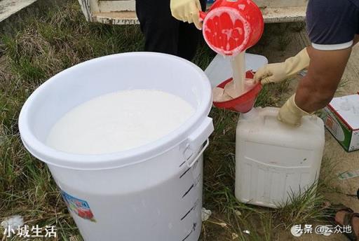 大量元素水溶肥与阿维菌素乳油,复配,出现分层拮抗是怎么回事?