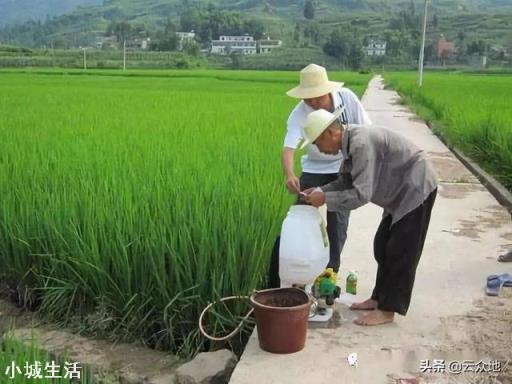 大量元素水溶肥与阿维菌素乳油,复配,出现分层拮抗是怎么回事?