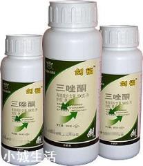 农业用药三唑酮主治哪些病虫害？