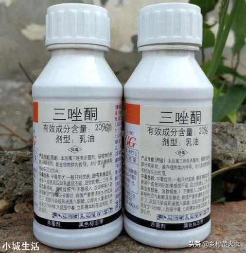 农业用药三唑酮主治哪些病虫害？