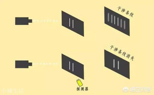 有人说双缝干涉延迟实验的结果让人恐惧，你怎么看？