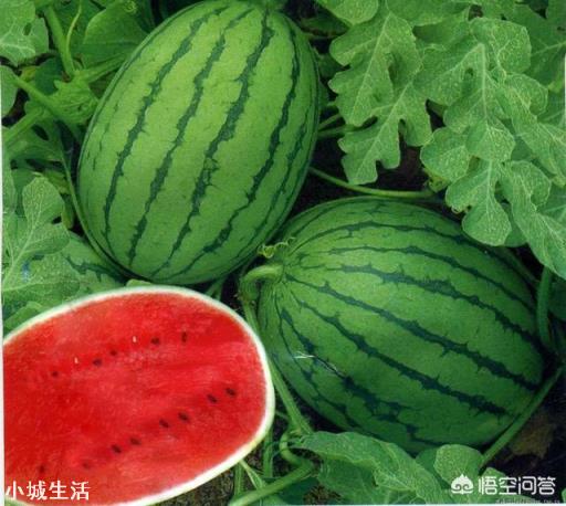 西瓜怎样才能提高产量和甜度？