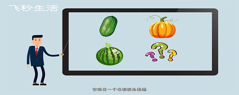 为什么没有北瓜