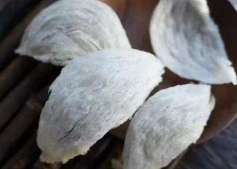劣质燕窝泡发图片