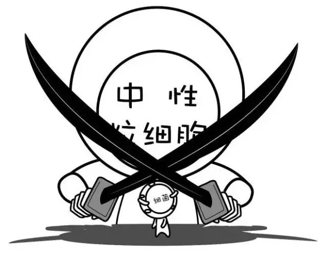 狗狗感冒为什么要做血常规？