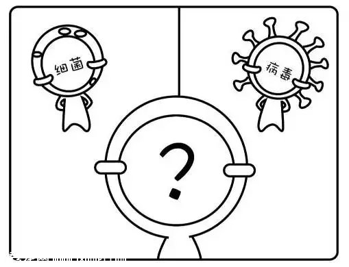 狗狗感冒为什么要做血常规？