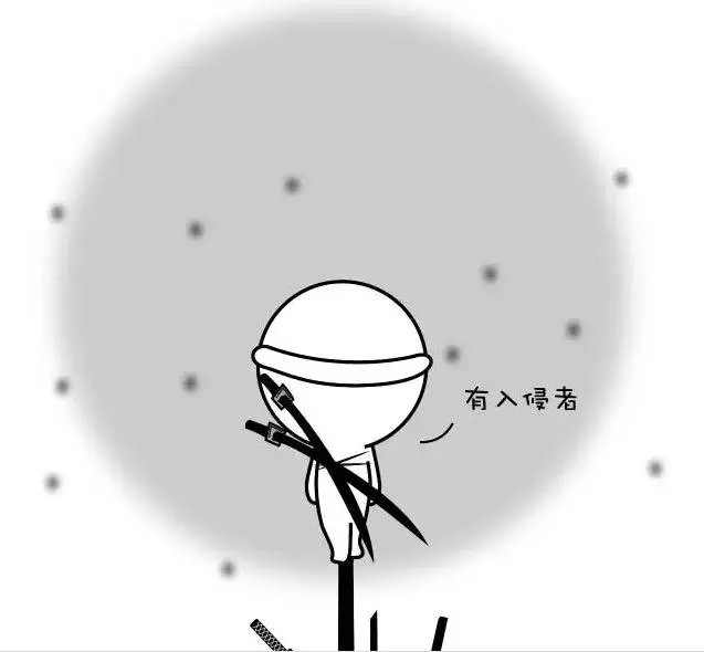 狗狗感冒为什么要做血常规？