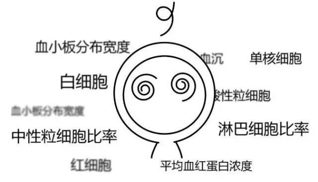 狗狗感冒为什么要做血常规？