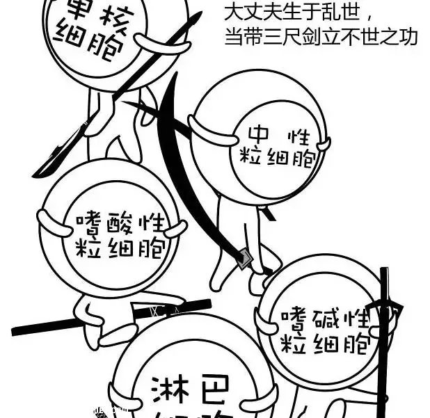 狗狗感冒为什么要做血常规？