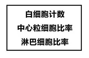 狗狗感冒为什么要做血常规？