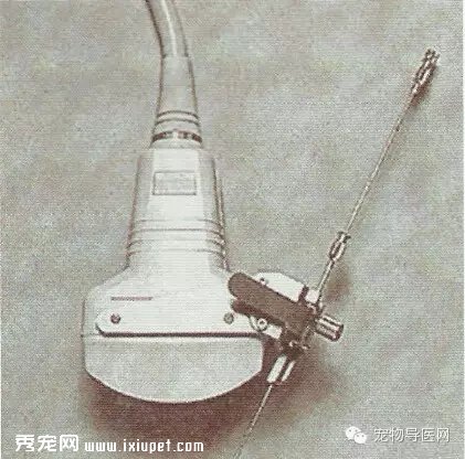 宠物手术技巧——引流的分类以及临床应用！