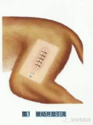 宠物手术技巧——引流的分类以及临床应用！