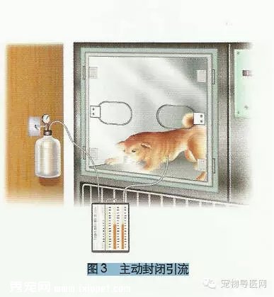 宠物手术技巧——引流的分类以及临床应用！