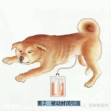 宠物手术技巧——引流的分类以及临床应用！