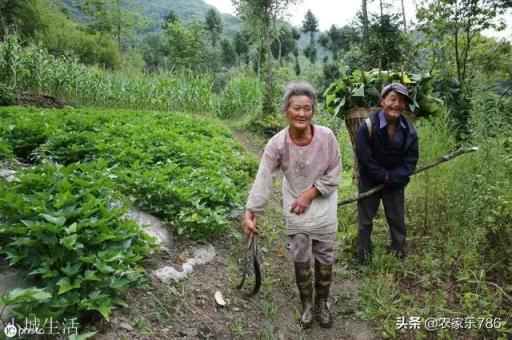 现在农村50多岁的人，一般用什么手机？