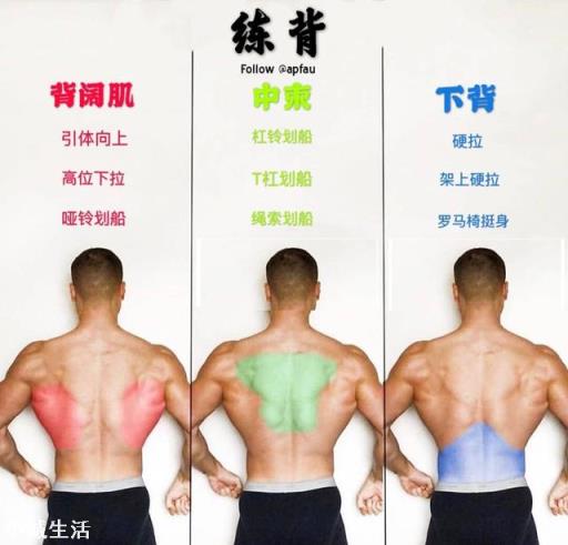 练了几年引体向上，背上部分变宽了，但后腰部看着总感觉很薄弱，怎么使其结实呢？
