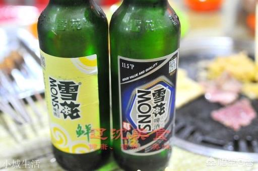 生啤、熟啤、原浆、纯生、干啤、冰啤、扎啤有什么区别?