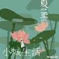 关于夏至的传统活动和习俗有哪些？