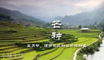 关于夏至的传统活动和习俗有哪些？