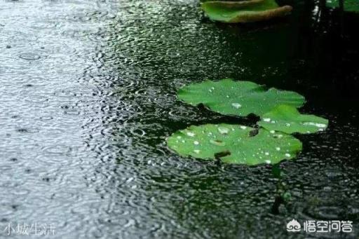 关于夏至的传统活动和习俗有哪些？